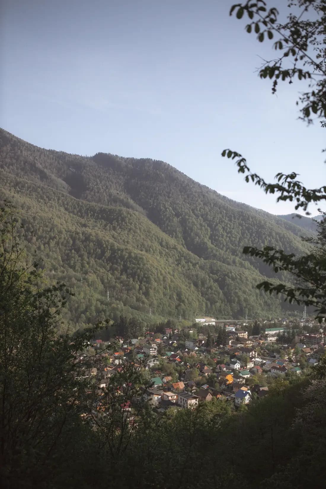 Лесистая гора и посёлок в долине, Сочи