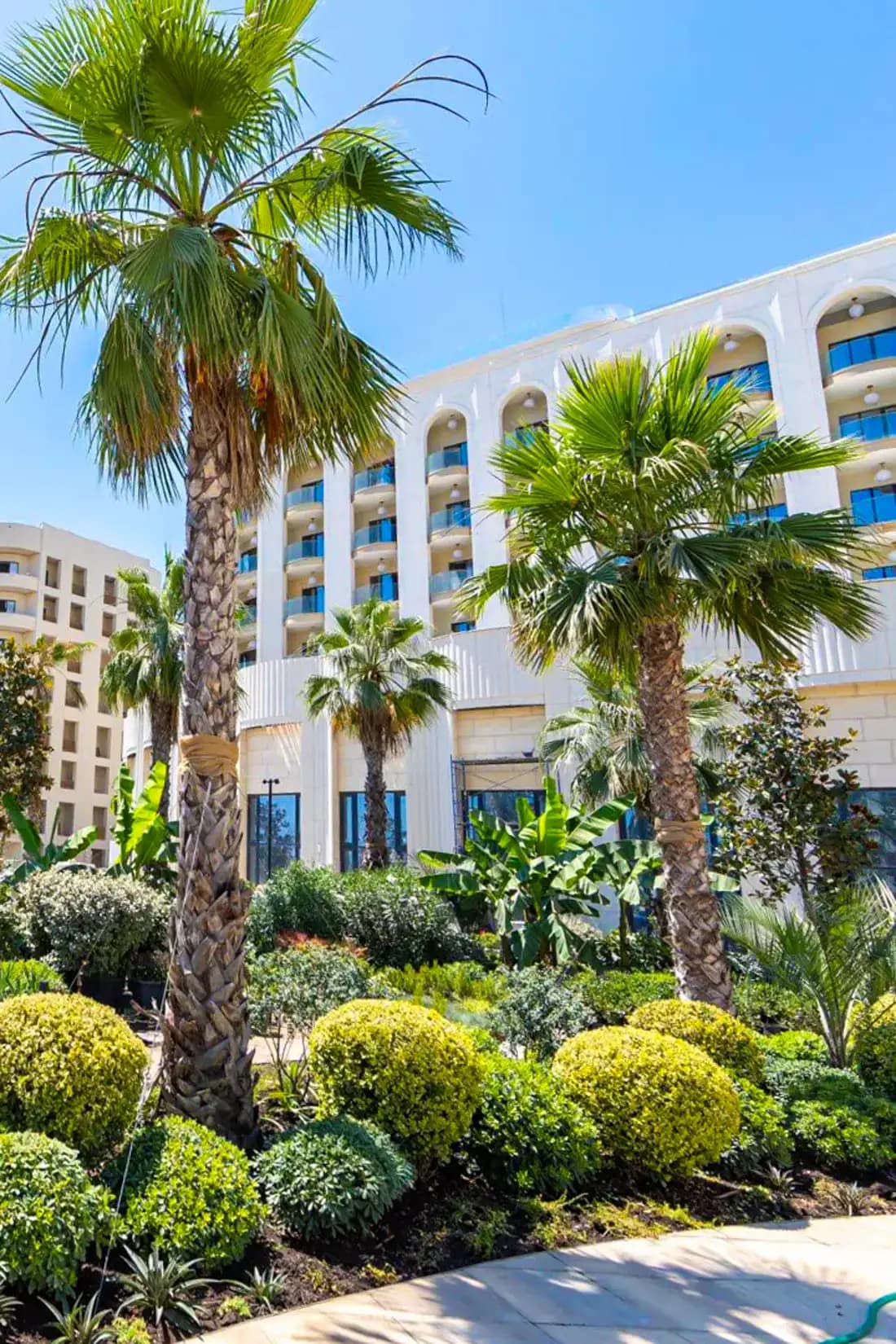 Пальмовый двор курортного комплекса Mantera Seaview Residence — реальное фото из каталога агентства