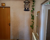 Трехкомнатная квартира на Пасечной