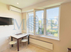 Студия Classic Mountain View
