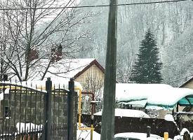 Участок в Красной поляне