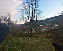 Продаю земельный участок в Сочи