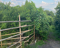 Участок на Владимировской (Черешня)