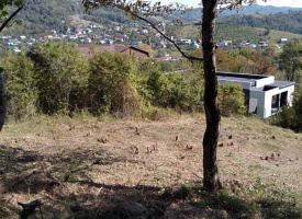 Участок в Сочи