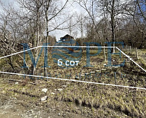 Земля на Волковке