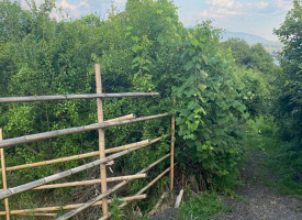 Участок на Владимировской (Черешня)