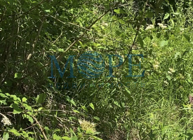 Участок на Мацесте