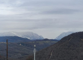5 соток в Каштанах